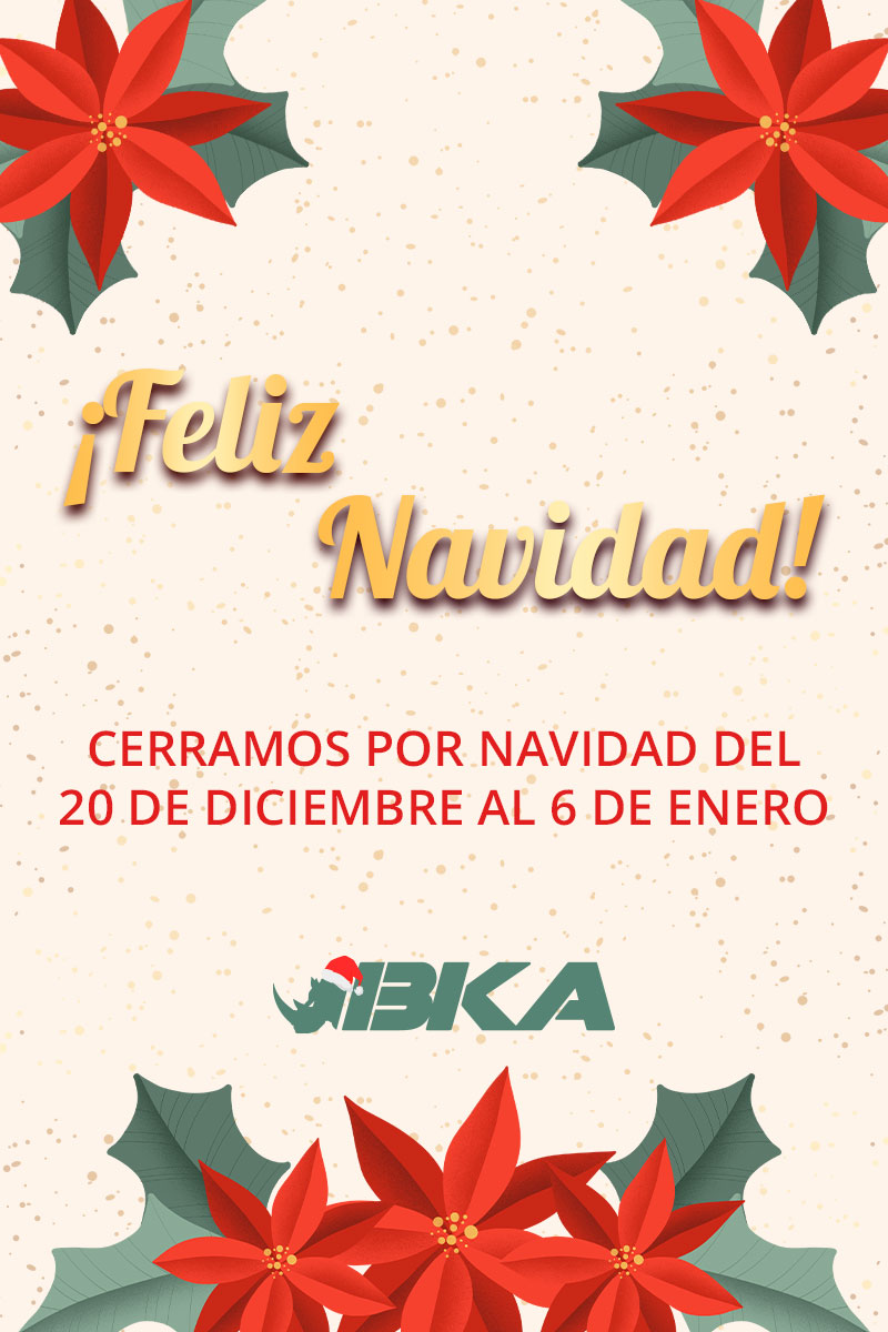 Vacaciones de Navidad