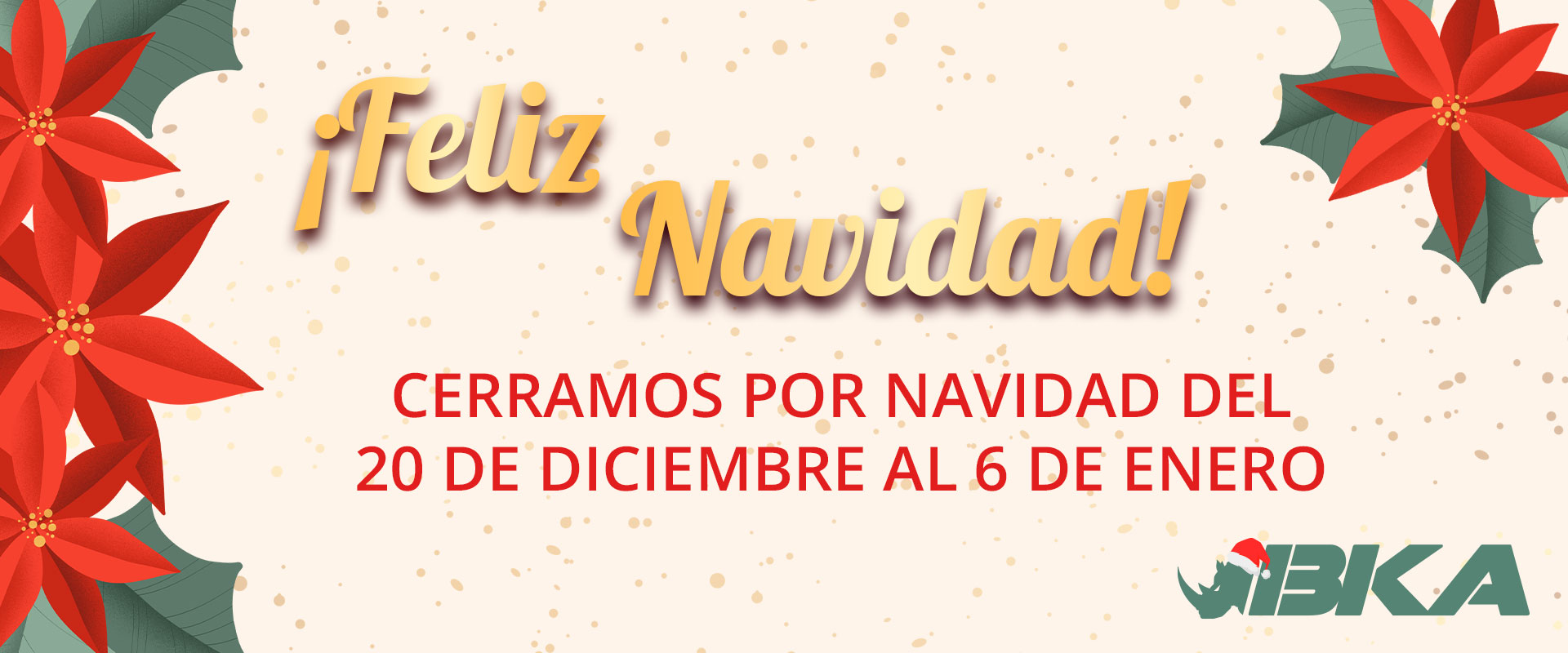 Vacaciones de Navidad